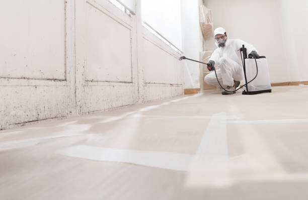 24/7 Emergency Attic Mold Removal experts in Point Pleasant, PA