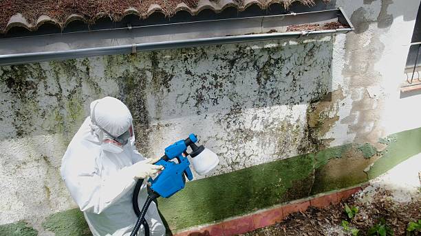 Top rated local Attic Mold Removal specialists in Point Pleasant, PA